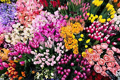 据报道《星空》新发售日期由B社自行决定 微软完全放权