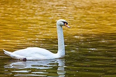 《勇者斗恶龙3：HD-2D重制版》预载开启 11月14日登多平台